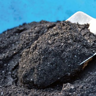 Biochar Inoculado