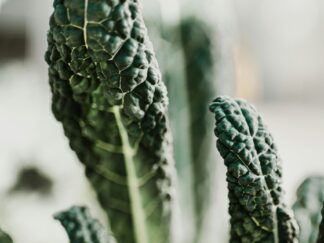 Kale toscano 200 gr
