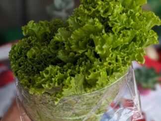 Lechuga de temporada