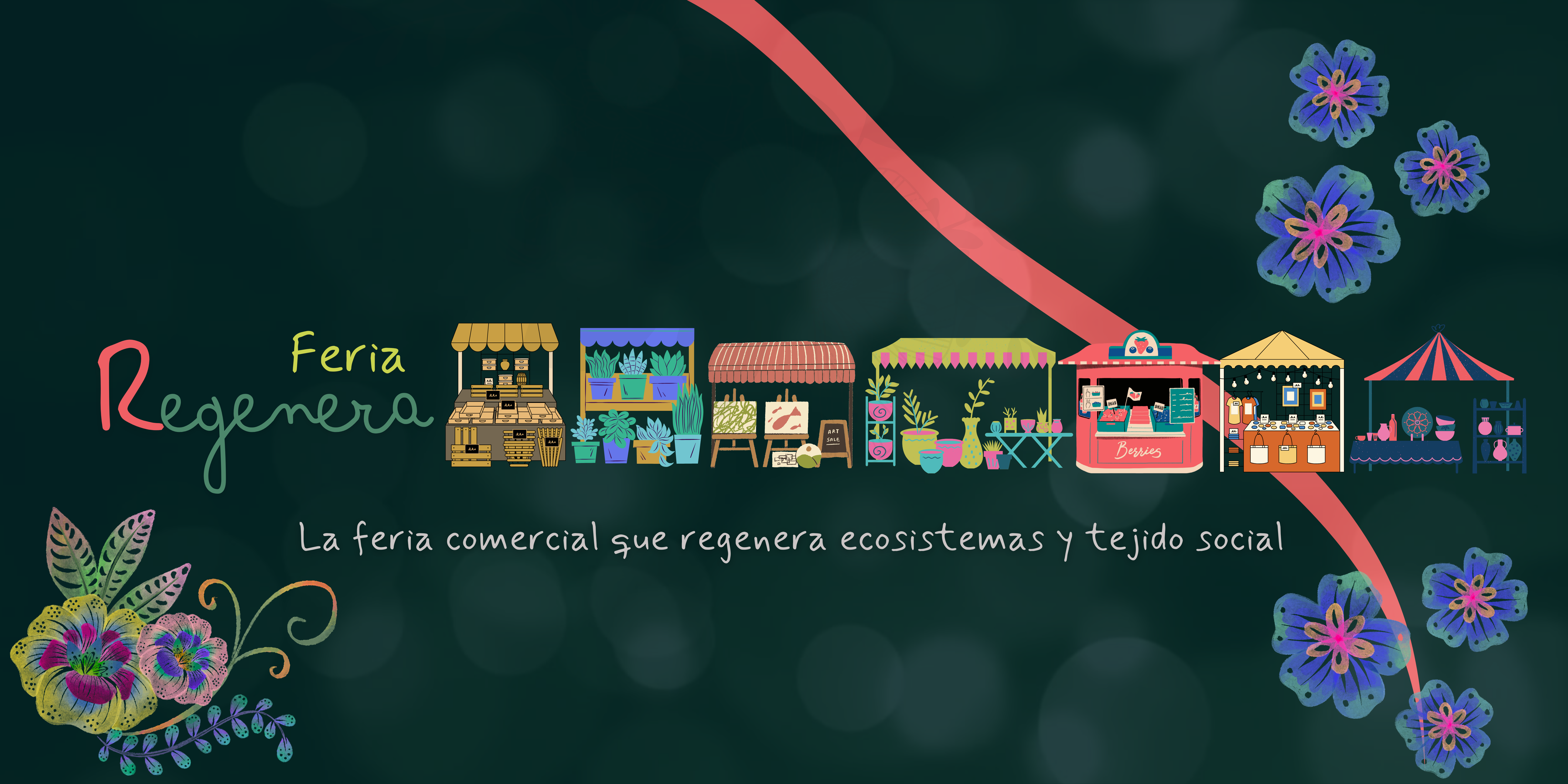 https://biomacolombia.org/products/