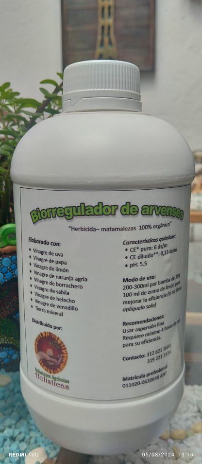 Feria Regenera - Red Gramor Colombia