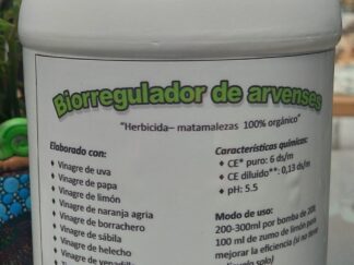 Feria Regenera - Red Gramor Colombia