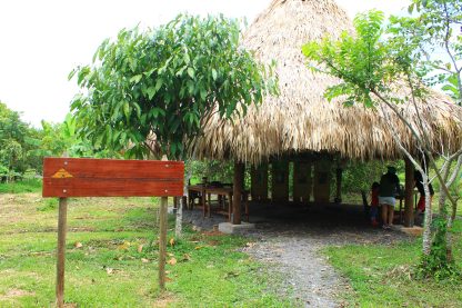Maloca de la Biodiversidad