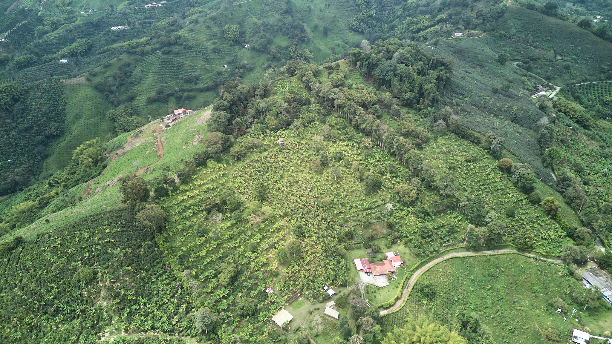 La Veranera - Café y agricultura regenerativa y orgánica