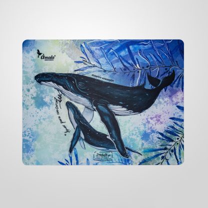 Bases para pc – Ballena jorobada (Megaptera novaeangliae)