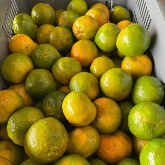 Mandarina Oneco Orgánica x Kilo