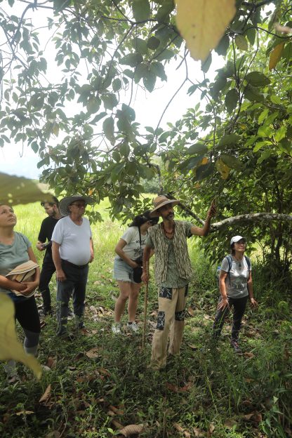 Pasadia: El Sendero de la Biodiversidad - Imagen 2