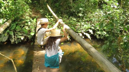 Pasadia: El Sendero de la Biodiversidad - Imagen 4