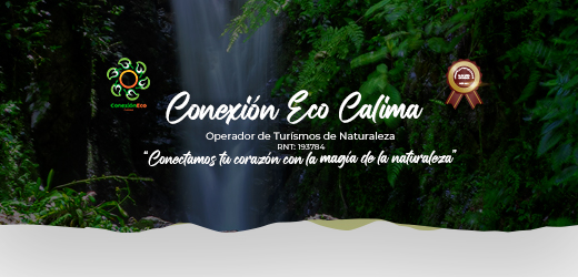 Conexión Eco Calima