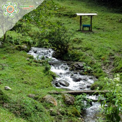 Pasadía Sendero Cascadas el Encanto Lago Calima - Imagen 6