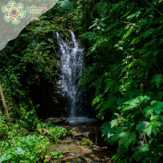 Paquete las 12 cascadas del Duende 2 días/ 1 Noche
