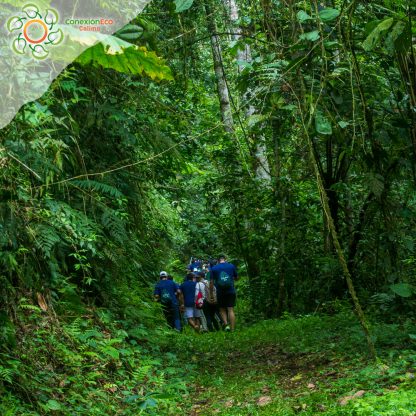 Paquete las 12 cascadas del Duende 2 días/ 1 Noche - Imagen 4