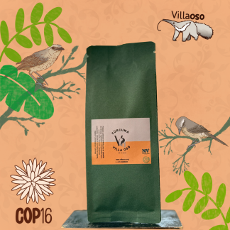 Cúrcuma en polvo de la Villa