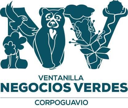 Cúrcuma en polvo de la Villa - Imagen 4